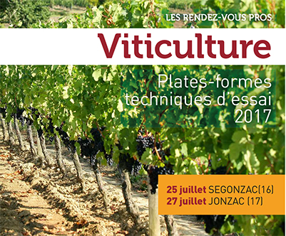 PLATEFORME-VITICOLE-3