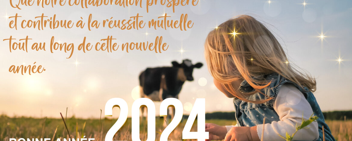 banniere extranet intralia voeux 2024