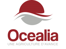 logo-ocealia-e1455708768224